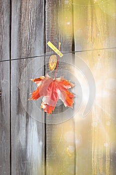 Red maple leaf on clothespin on a rope. Autumn composition on the wood background. One red leaf. Soft blur effect.