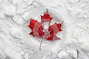 Red maple leaf lying on white snow. Top view. Canada flag concept. Canada Day. Ai generated