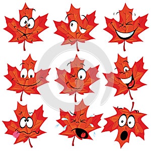 Red maple leaf mascot