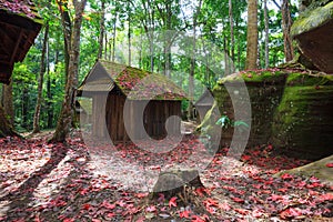 Red maple leaf wit Political and Military School at Phu hin Rong Kla National Park, Thailand