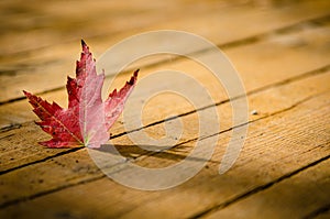 Red maple leaf on wood