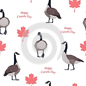 Red maple leaves and Canadian geese on white background. Canada Day seamless pattern, vector illustration