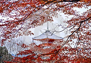 Red maple leaves and roof of pagoda.