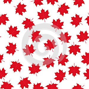 Red maple leaves on white background Canadian seamless pattern. Canada Day background. Vector template for Canadian holiday party