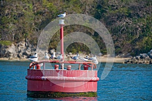 Red maritime marker buoy