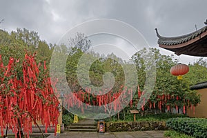 Red mascot hanging from a buddhist temple