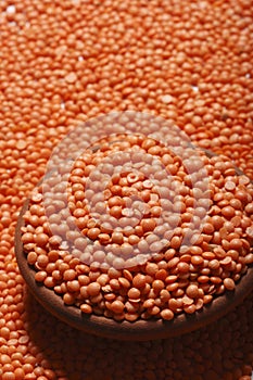 Red Masoor Dal