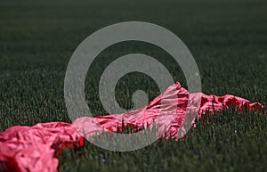 Red material on a green meadow, background