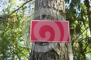 Red metal plate in wood