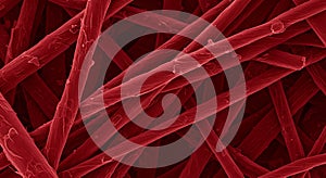 Red microfibers under electron microscope