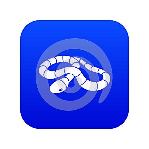 Red milk snake icon blue vector