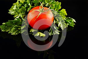 Red mini tomato on black reflective studio background.