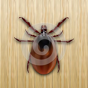 Red mite. Mite allergy. Epidemic. Mite parasites. On a wooden background. illustration