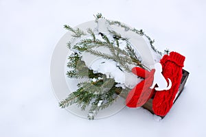 Red mittens, dog figures and green fir tree branches in wooden decorative box on snow.