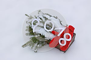 Red mittens on fir tree branches.