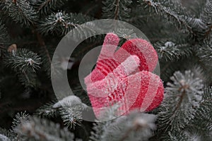 Red mittens in the winter forest. Frozen plants . Selective focus