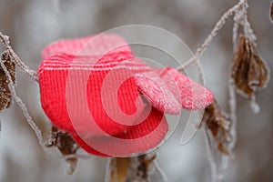 Red mittens in the winter forest. Frozen plants . Snow and snowflakes on the background