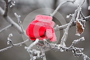 Red mittens in the winter forest. Frozen plants . Snow and snowflakes on the background