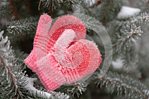Red mittens in the winter forest. Frozen plants . Snow and snowflakes on the background