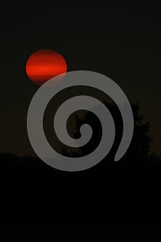 Red moon in a black sky