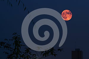 Red Moon in Lunar Eclipse