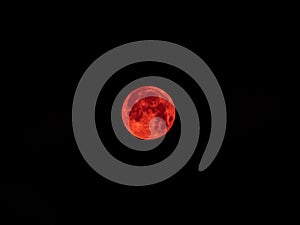 Red moon total eclipse
