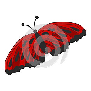 Red moth on white background. Vector illustration