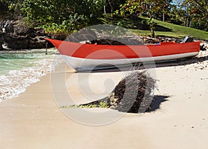 Red motor boat and coconut tree root on the seashore