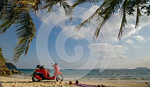 The red motorbike on forest road trail trip. One scooter, near tropical palm tree. Asia Thailand ride tourism. Single