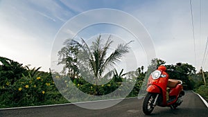 The red motorbike on forest road trail trip. One scooter, near tropical palm tree. Asia Thailand ride tourism. Single