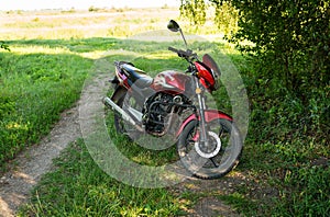 A red motorcycle parked on a grassy path, showcasing a blend of nature and machine.