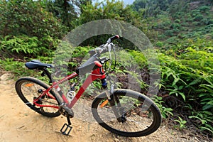 red mountain bike on forest trail