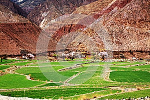 Red mountain and green field