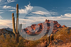 Red Mountain and Saguaro Cactus