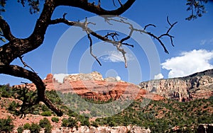 The Red Mountains of Sedona, AZ