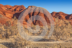 Red mountains in the territory of the national nature reserve Altyn-Emel. Kazakhstan