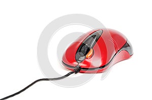 Red mouse