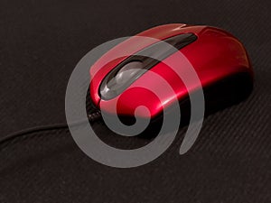 Red mouse