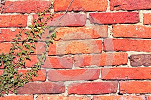 Red mud brick wall texture