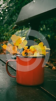 Red mug with a branch of autumn leaves on a park bench.