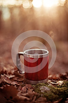 Red mug with hot steaming drink on a stump.