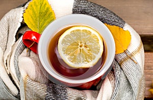 Red mug and lemon wrapped in a blanket on a bench, leaves