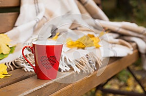 Red mug wrapped in a blanket on a bench, leaves