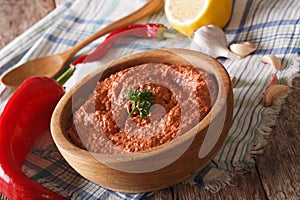 Red Muhammara and ingredients close-up. Horizontal