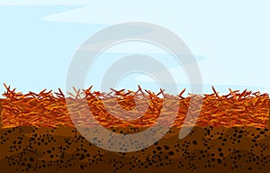 Red mulch background with copy space. Landscape design color mulch.