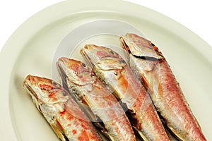 Red Mullet