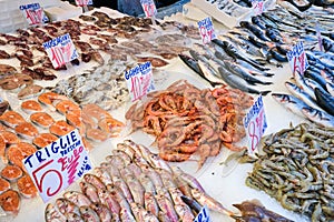 Red mullet, salmon and other fish and seafood