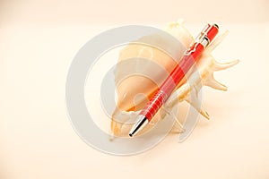Red multitool pen on sea shell in white background