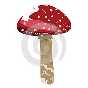 Red mushroom