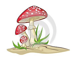 Red Mushrooms photo